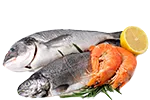 Fisch & Meeresfrüchte