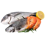 Fisch & Meeresfrüchte