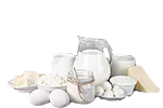 Milch, Käse & Eier