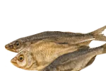 Gedörrter Fisch