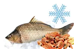 Tiefgekühlter Fisch & Meeresfrüchte