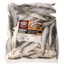 Strömling - Hering (Clupea harenguss mem.. Strömling - Hering (Clupea harenguss mem..