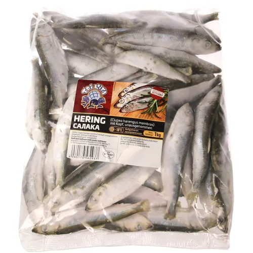 Strömling - Hering (Clupea harenguss membras) mit Kopf, unausgenommen, tiefgefroren