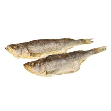 Barsch, gesalzen und gedörrt, unausgenom.. Barsch, gesalzen und gedörrt, unausgenom..