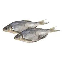 Brassen (0,5kg-0,7kg), ganz, gesalzen un.. Brassen (0,5kg-0,7kg), ganz, gesalzen un..