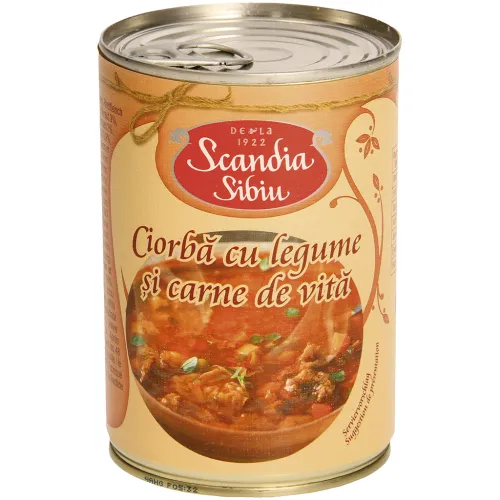 Suppe mit Gemüse und Rindfleisch Ciorba cu legume