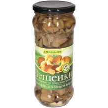 Austernpilze Austernpilze
